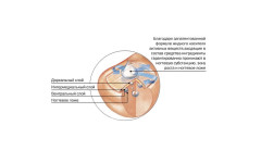 Карандаш PECLAVUS защитный для ногтей AntiMYX Protectorstift