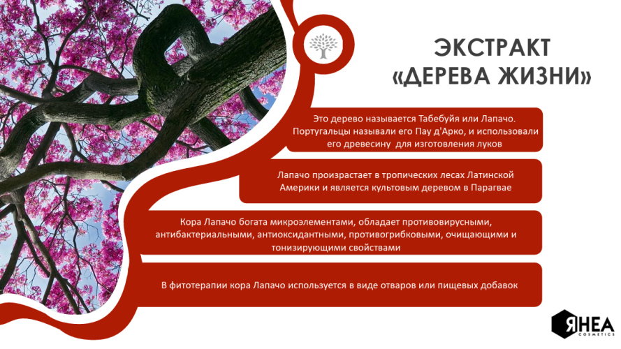 Маска RHEA AgeQuiri коктейль ревитализирующая с омолаживающий дествием Дайкири